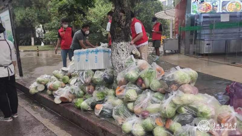 贵阳捐卵
